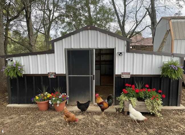 Building Photo - 4/2 on 2 acreas  Longview ISD