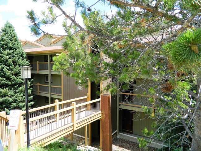Building Photo - Winter Seasonal Rental- Silverqueen East 2414