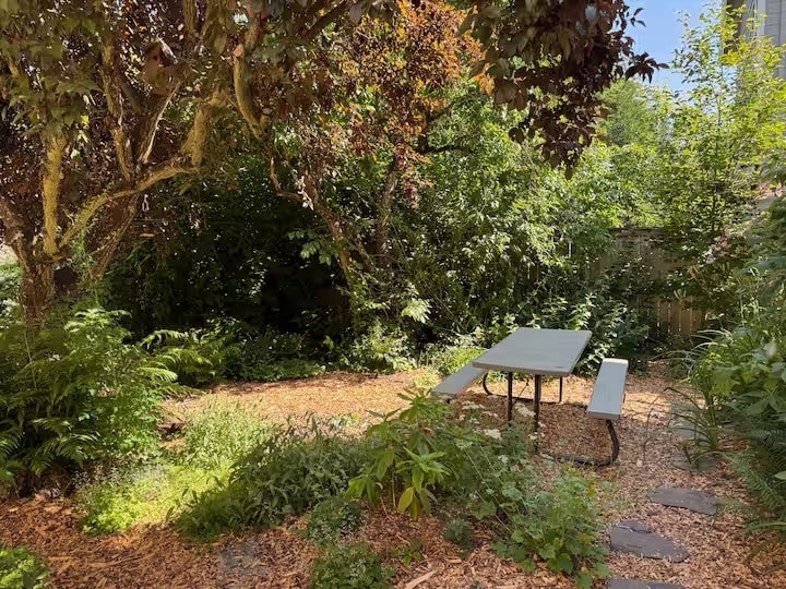 backyard - 4054 NE Rodney Ave