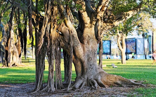 Building Photo - 835 S Osprey Ave