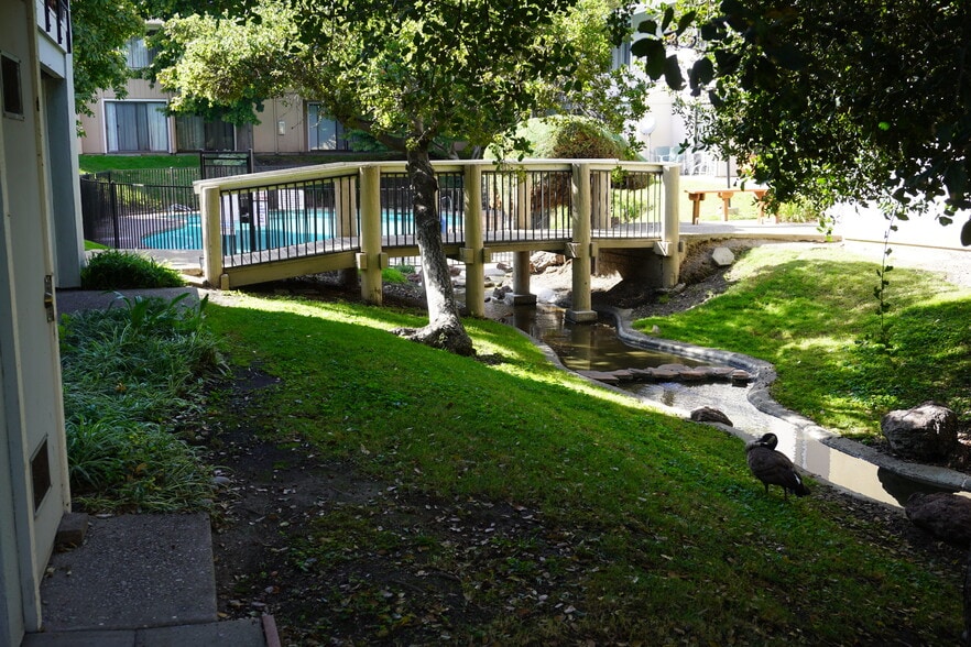 View from bac patio towards pool. - 6518 Embarcadero Dr