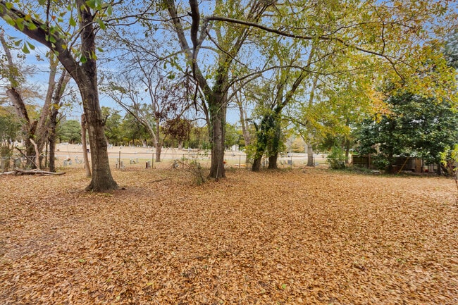 Building Photo - 1508 Beaufort St