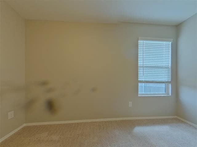 Building Photo - 11832 Mancos Trl