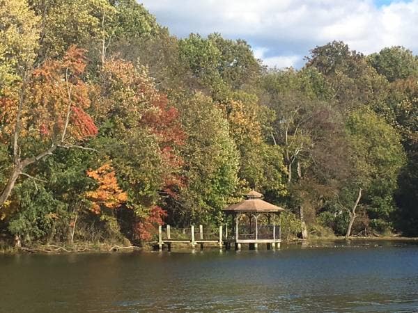 Largo Town Center Park &amp; Lake. Hiking Trails and Gazebo. - 8961 Town Center Cir