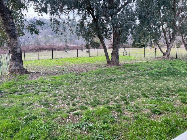 Building Photo - Country Setting 4-bedroom, 2-bathroom home!
