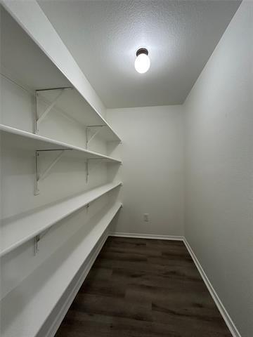 Building Photo - 5752 Talons Crest Cir