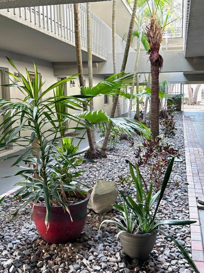 Building Photo - 2025/26 FALL/ WINTER MONTHLY  RENTAL ! FURNISHED - 5 MINUTES TO SIESTA BEACH