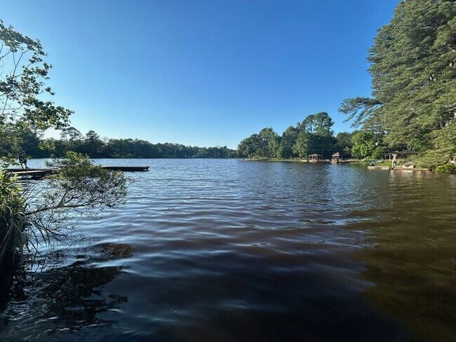 Building Photo - Lakeside Dream Home: Fully Remodeled 4BD/2BA Near Loop 323