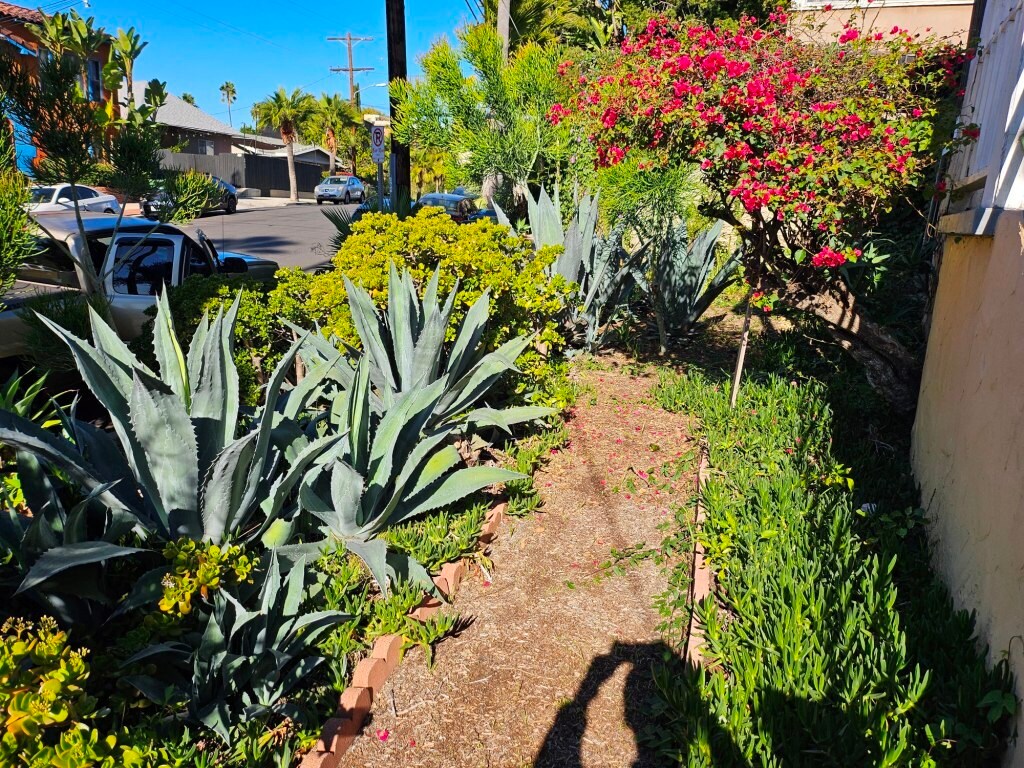 Building Photo - 1442 Lake Shore Ave