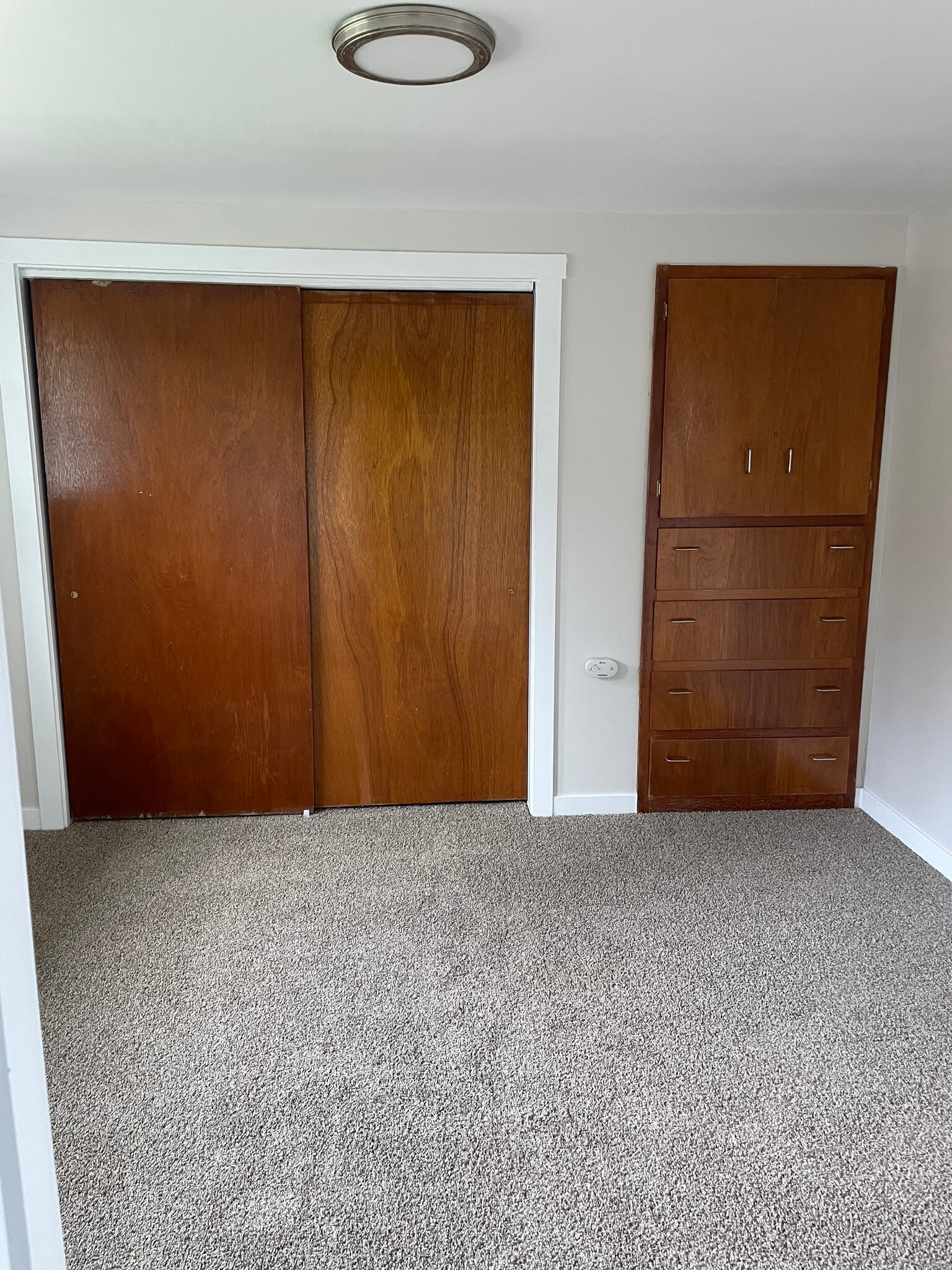 Master Bedroom Closet and Built-ins - 1205 Cora St SE