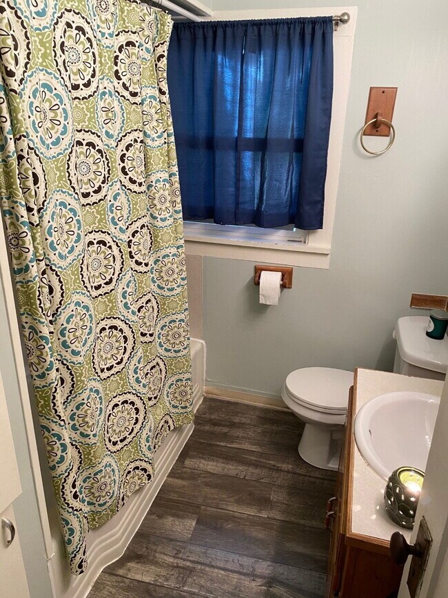 Building Photo - Steps from Campus, Minutes to Downtown – 4BR House on N Forest St | Pre-Leasing September 2026