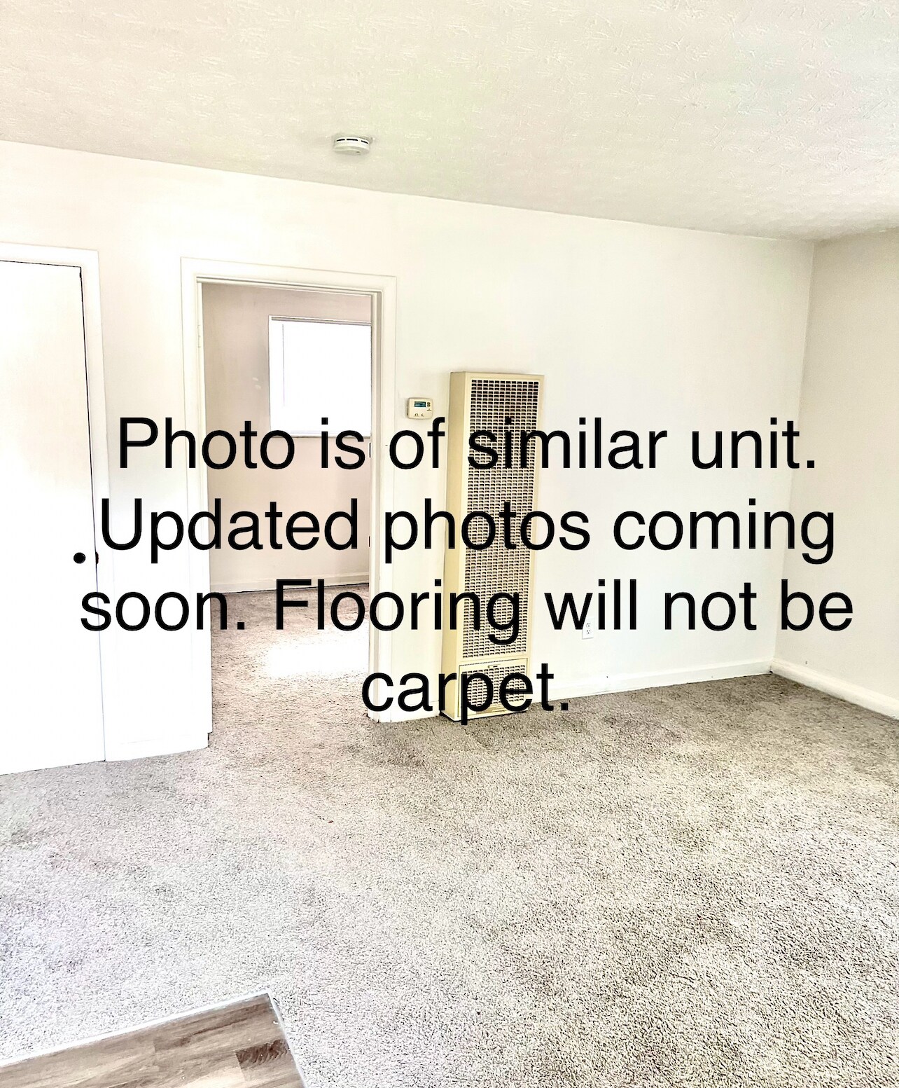 Living room. Will not have carpet. - 1971 Vaughn St