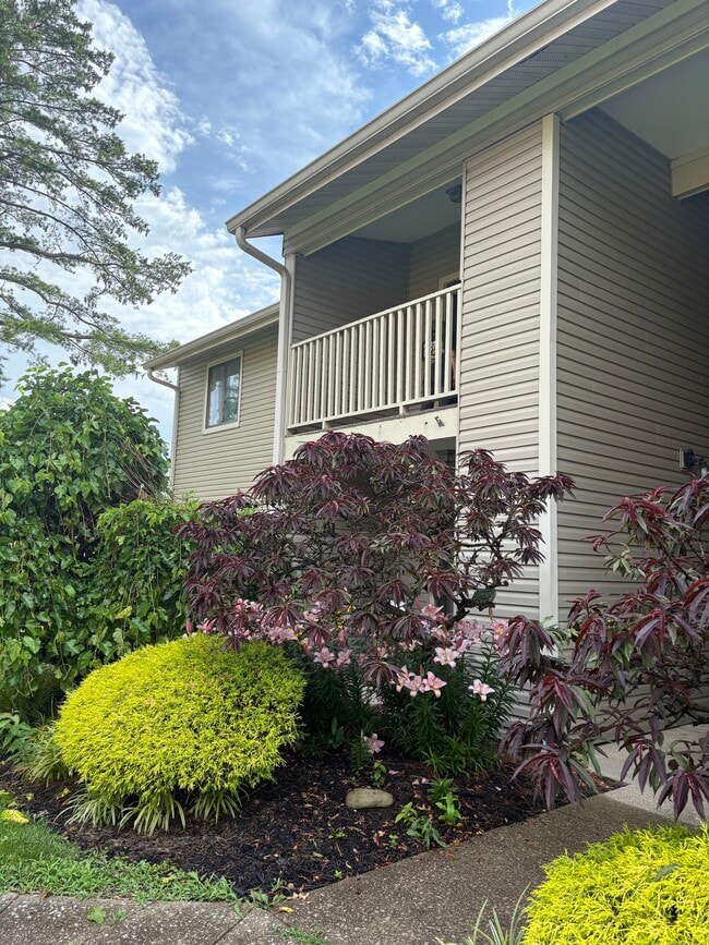Primary Photo - 334 Oxford Dr