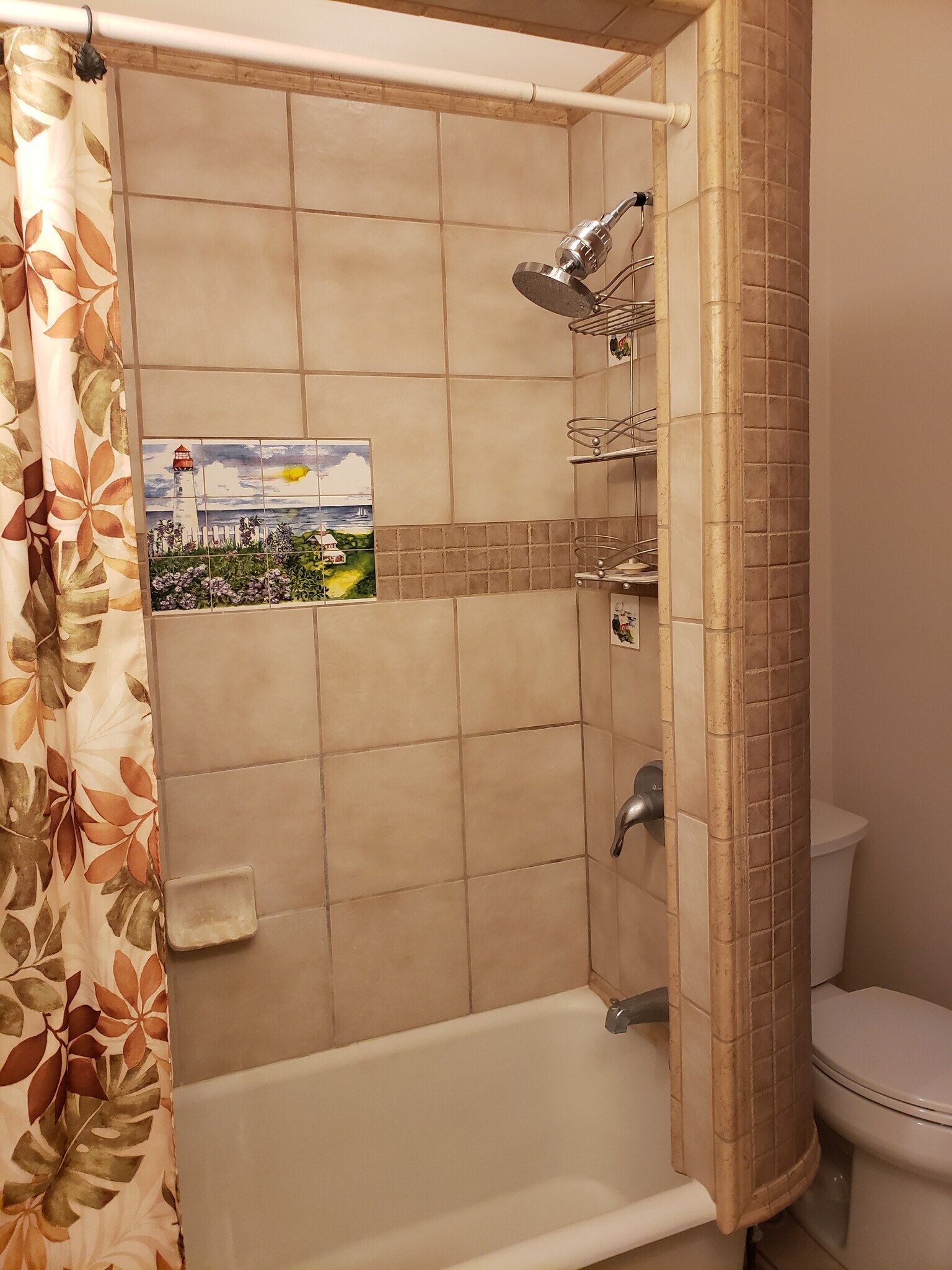 Apt 2 Tub/Shower - 319 N 3rd St