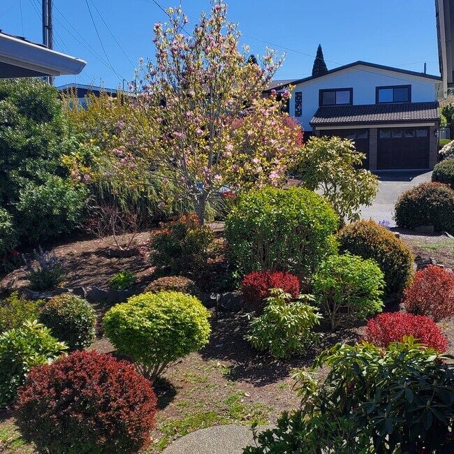 Building Photo - 1870 N Skyline Dr