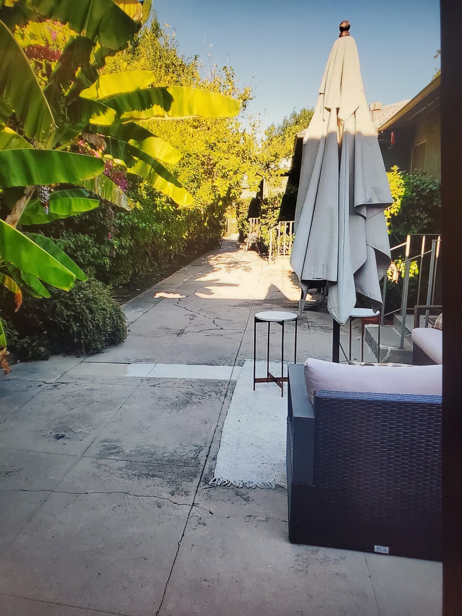 Northernly yard - 4419 Ledge Ave