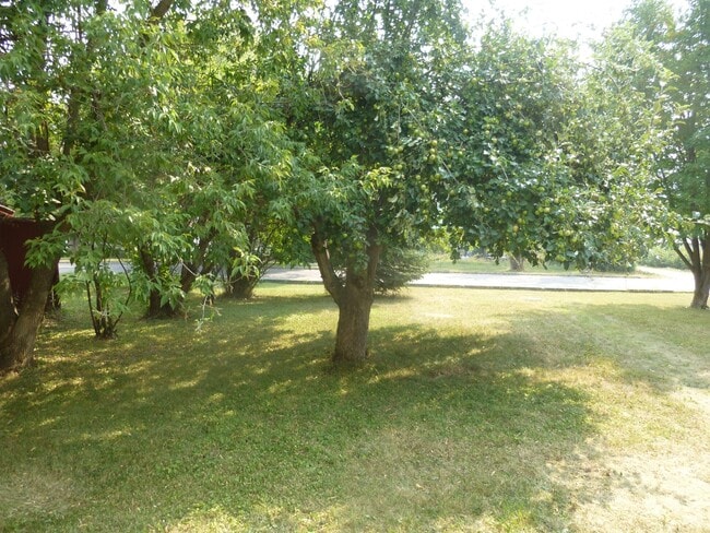 Building Photo - Cute Home in Whitefish with Yard & Storage