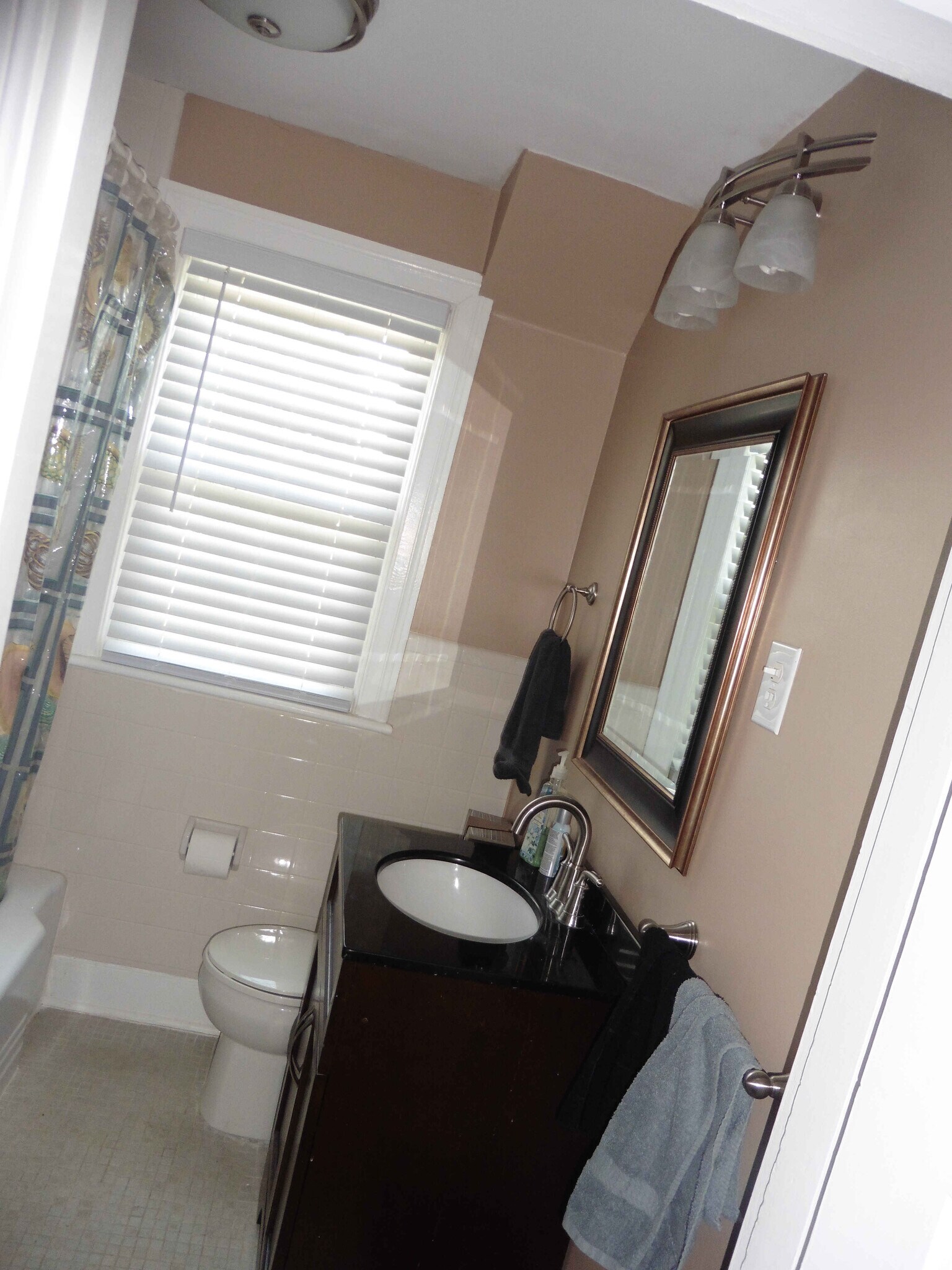 Upstairs Bathroom - 319 Crompton Rd