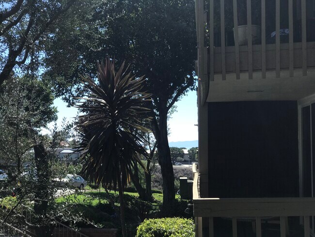 Peek a boo Catalina view - 6542 Ocean Crest Dr