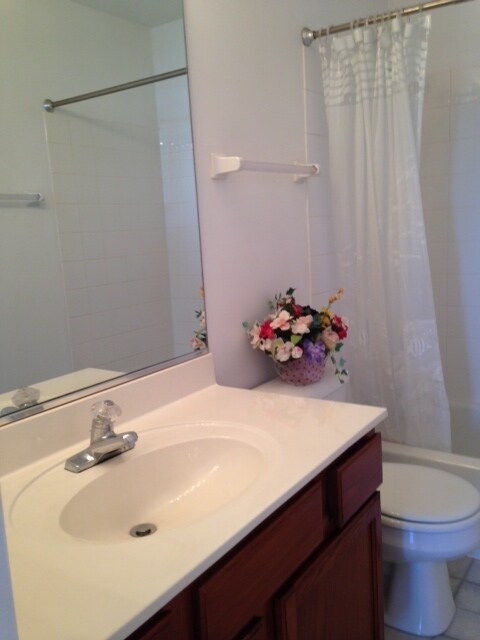 Hallway Bath - 932 Pimpernel Ct