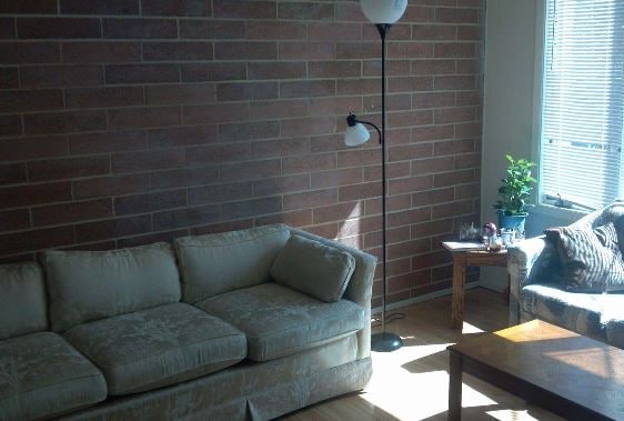 Living Area - 505 W Springfield Ave