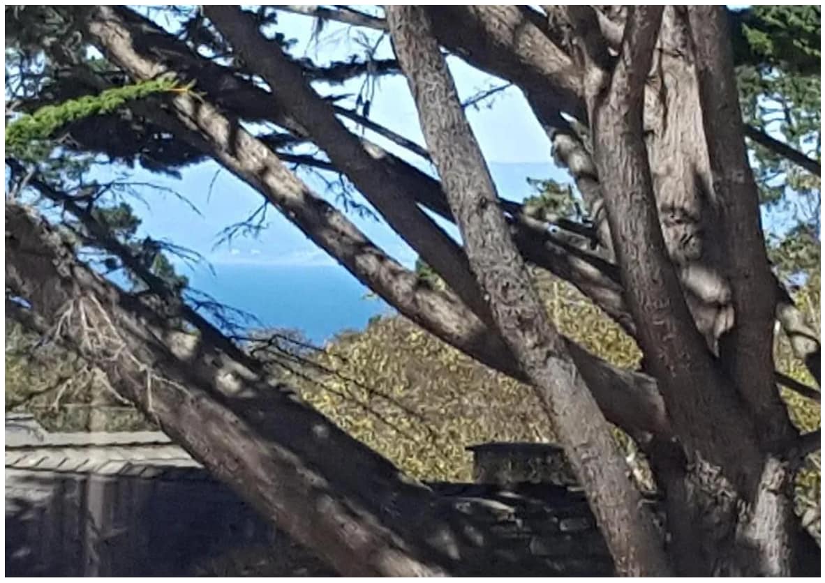 Building Photo - 699 Lottie St