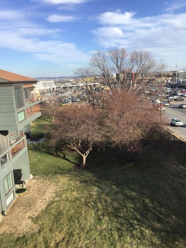 Building Photo - Spacious 2 Bedroom in Downtown Omaha
