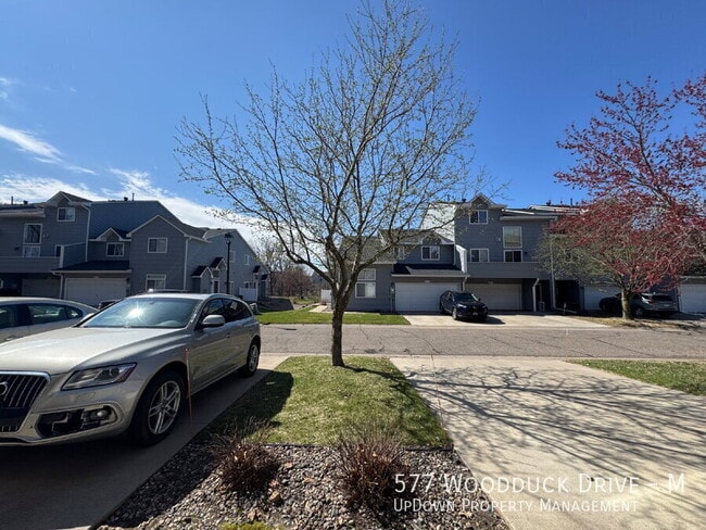 Building Photo - 577 Woodduck Dr