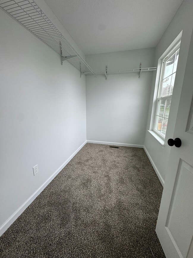 Building Photo - 219 Cambria St