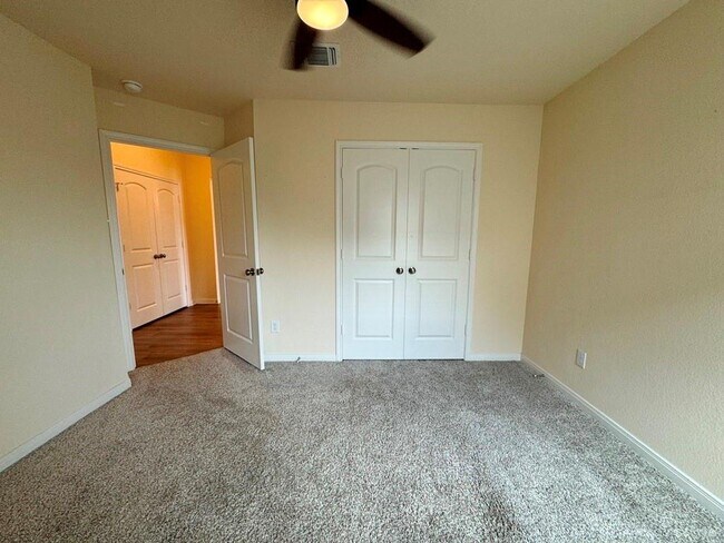 Building Photo - 5115 Leaning Tree