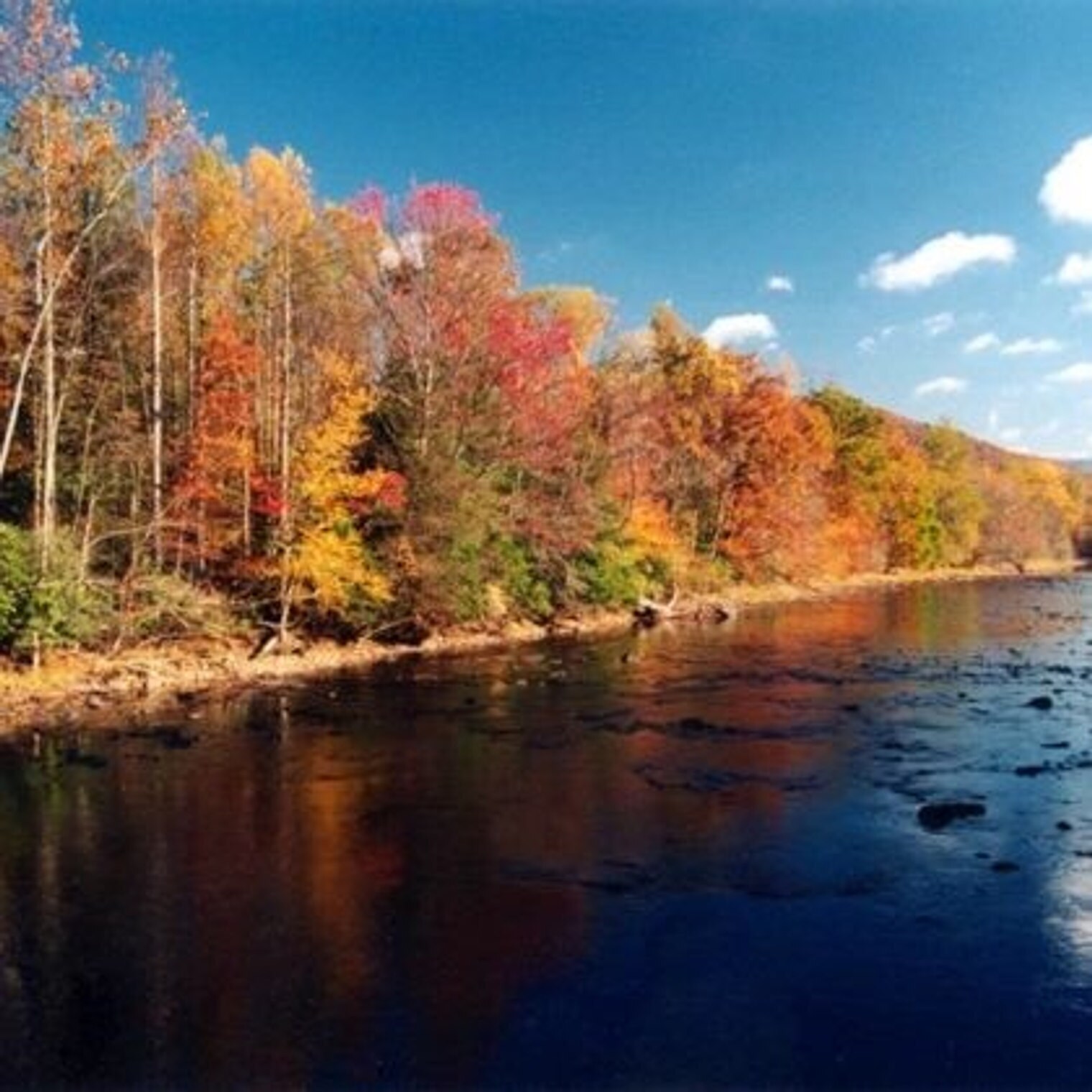 Building Photo - 72 Faulkner Rd