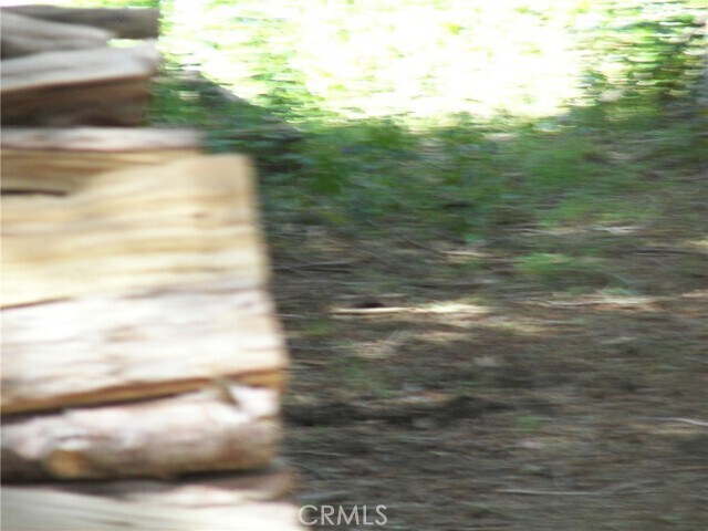 Building Photo - 21636 Sawpit Canyon Rd