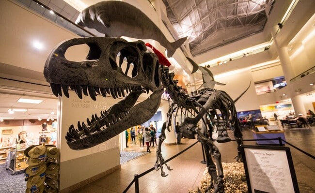 Natural History Museum - 1505 Fern Street