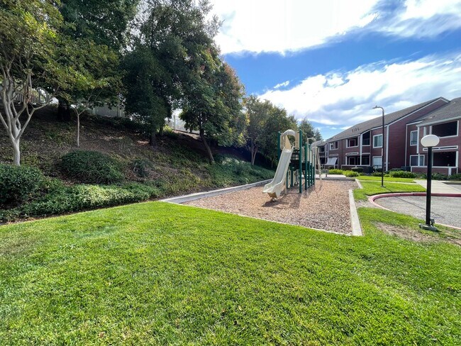 Building Photo - Wonderful 3 Bedroom with 2 Bath Downstairs Unit.