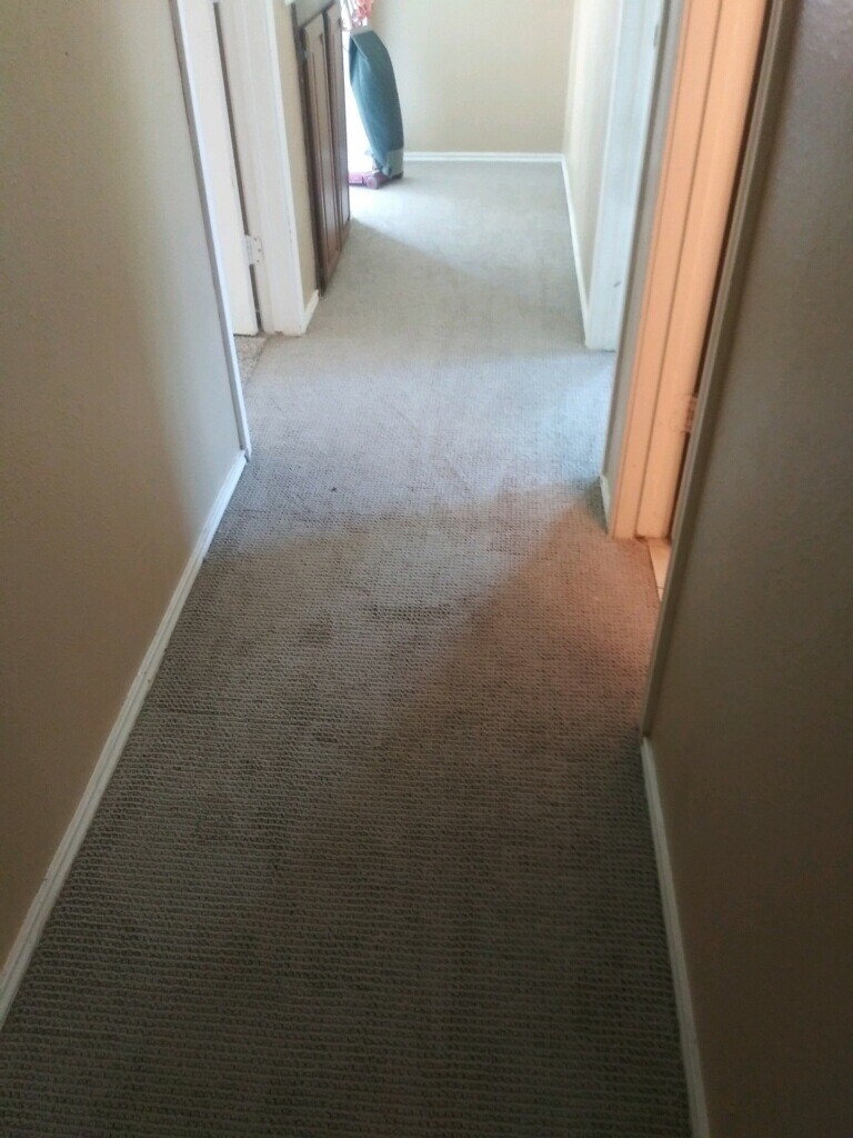 Hallway to bedrooms - 4925 Tree Top Ln