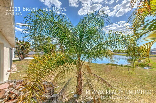 Building Photo - 13011 Brant Tree Dr