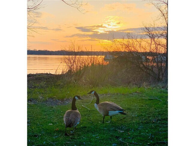 Building Photo - 1304 W Medicine Lake Dr