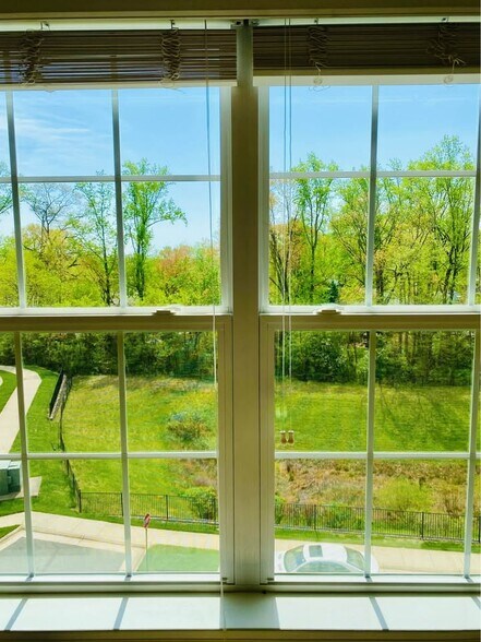 View - 4873 Dane Ridge Cir