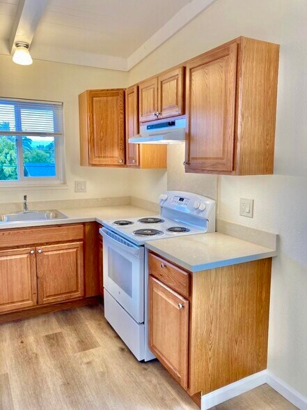 Building Photo - 907 Sharmon Palms Ln