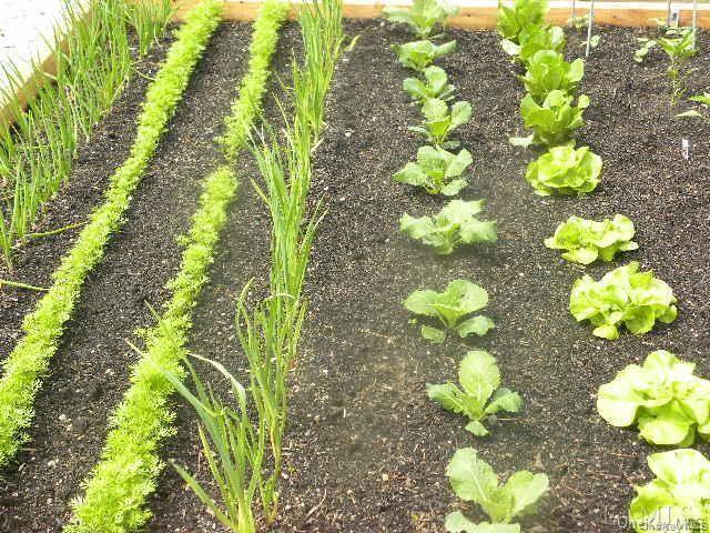 Building Photo - 555 Heritage Hills