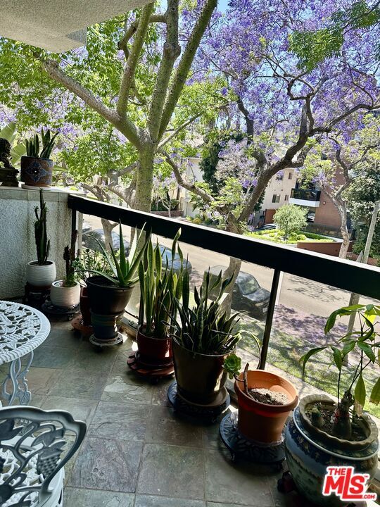 Building Photo - 324 N Palm Dr