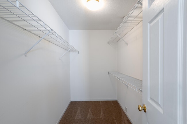 Building Photo - 3513 Delmar Ct