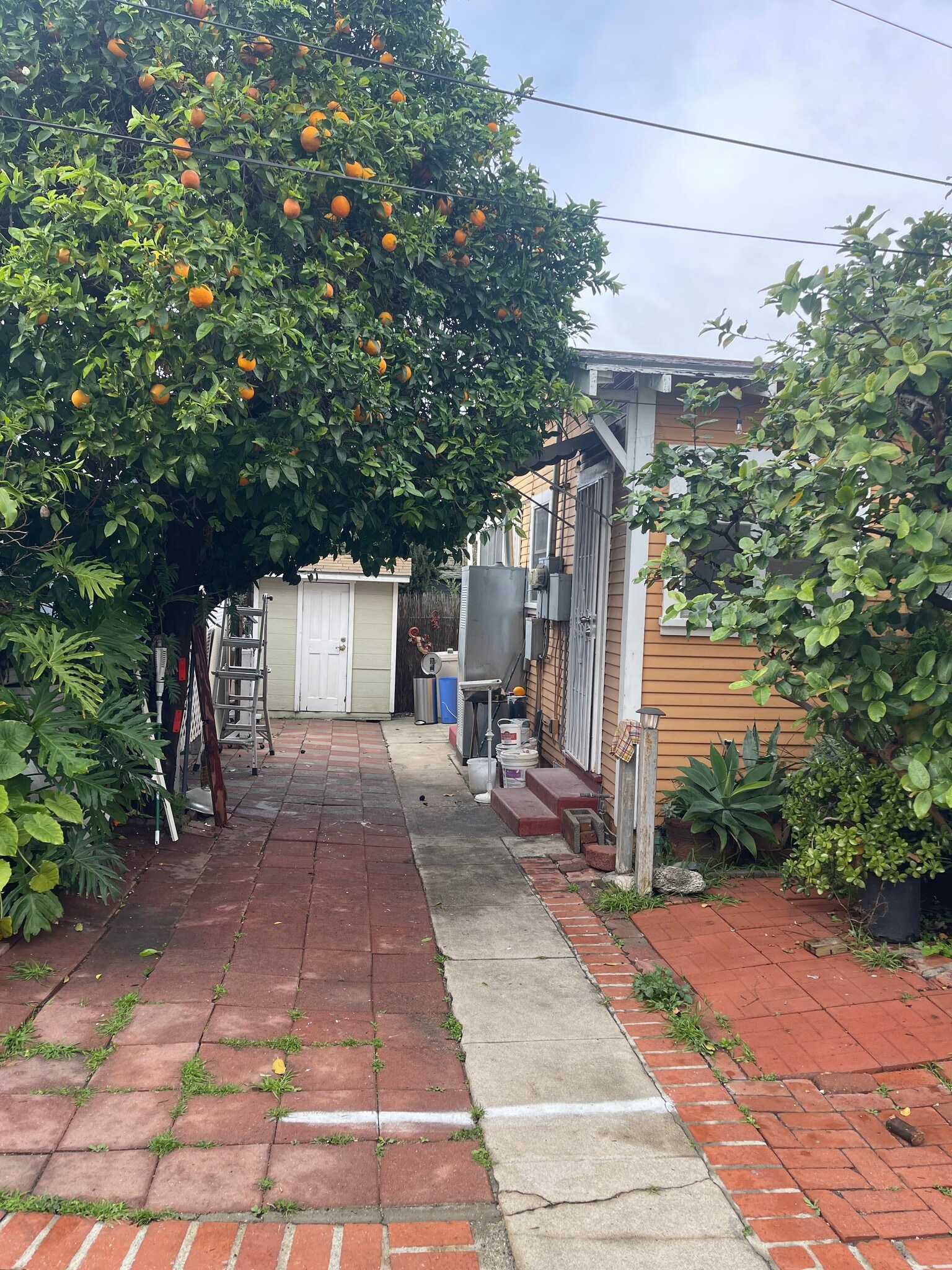 Building Photo - 3554 Arroyo Seco Ave