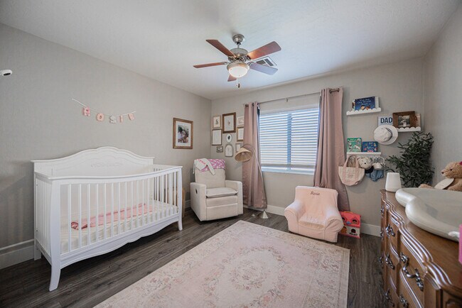 Building Photo - 904 S Dolphin Dr