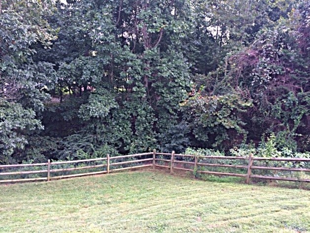 Building Photo - 2628 Clarencefield Dr