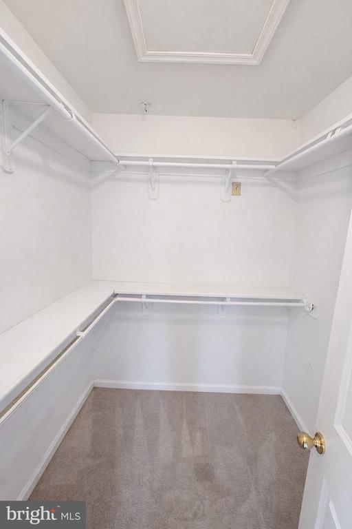 Building Photo - 4 Elm Tree Ct