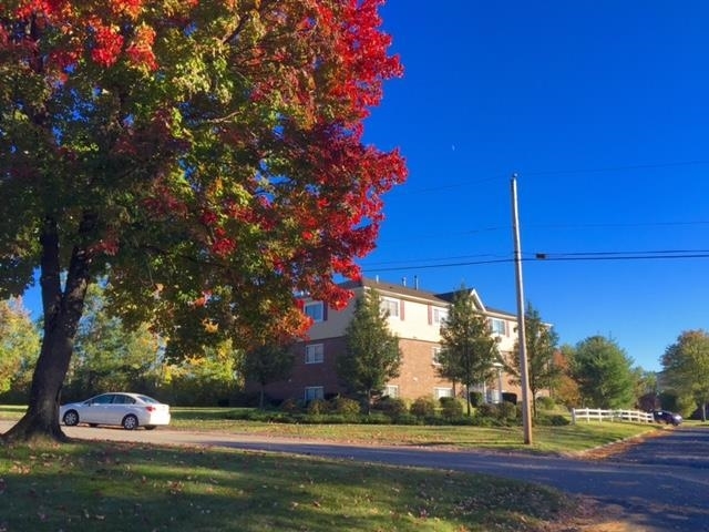 Building Photo - 3961 Brown Ave