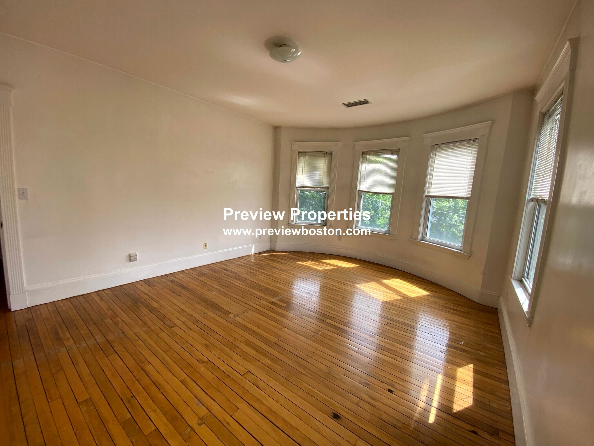 Building Photo - 44 Champney St