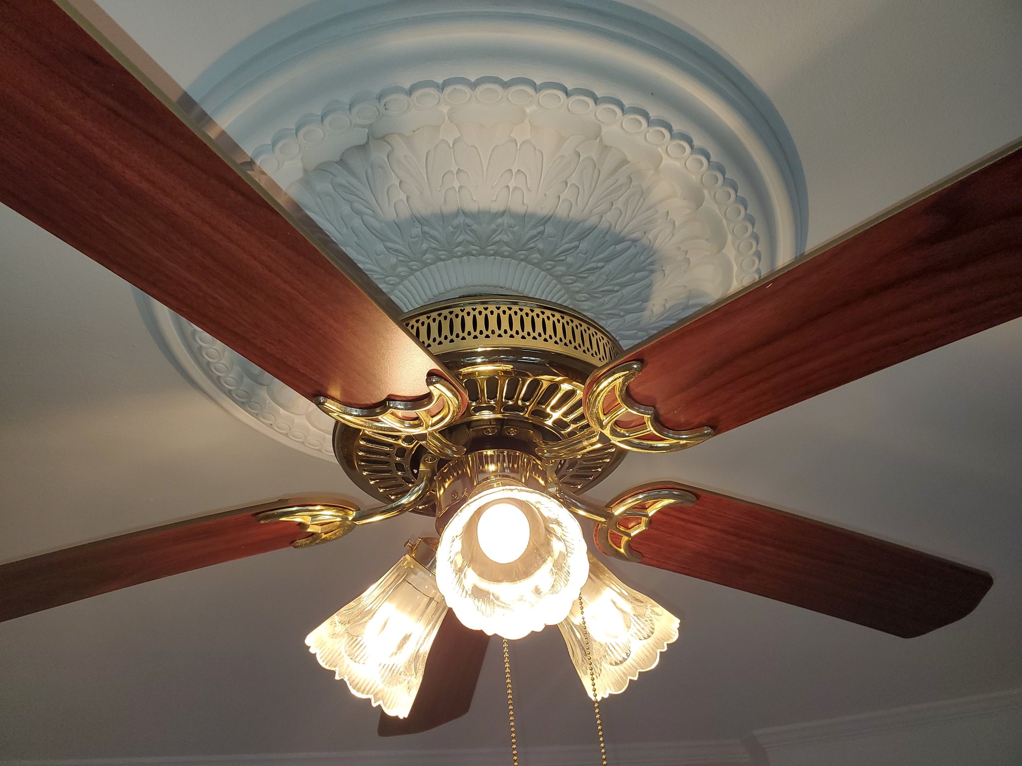 Dinning room fan - 78 S Carll Ave