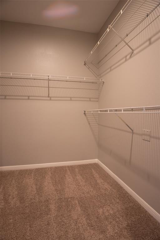 Building Photo - 2320 Gracy Farms Ln